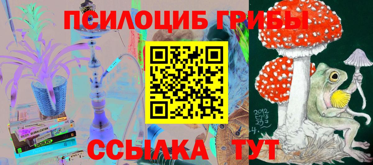 Галлюциногенные грибы GOLDEN TEACHER  Вход с VPN  Советск  Псилоцибиновые грибы Psilocybe 